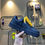 Thumbnail: Nike Airforce 1 Thick Lace
