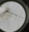 Screenshot 2026-02-26 130326.png