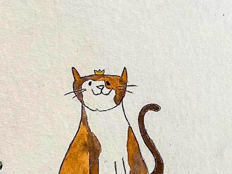 Les chats à Paris : Madame Coco