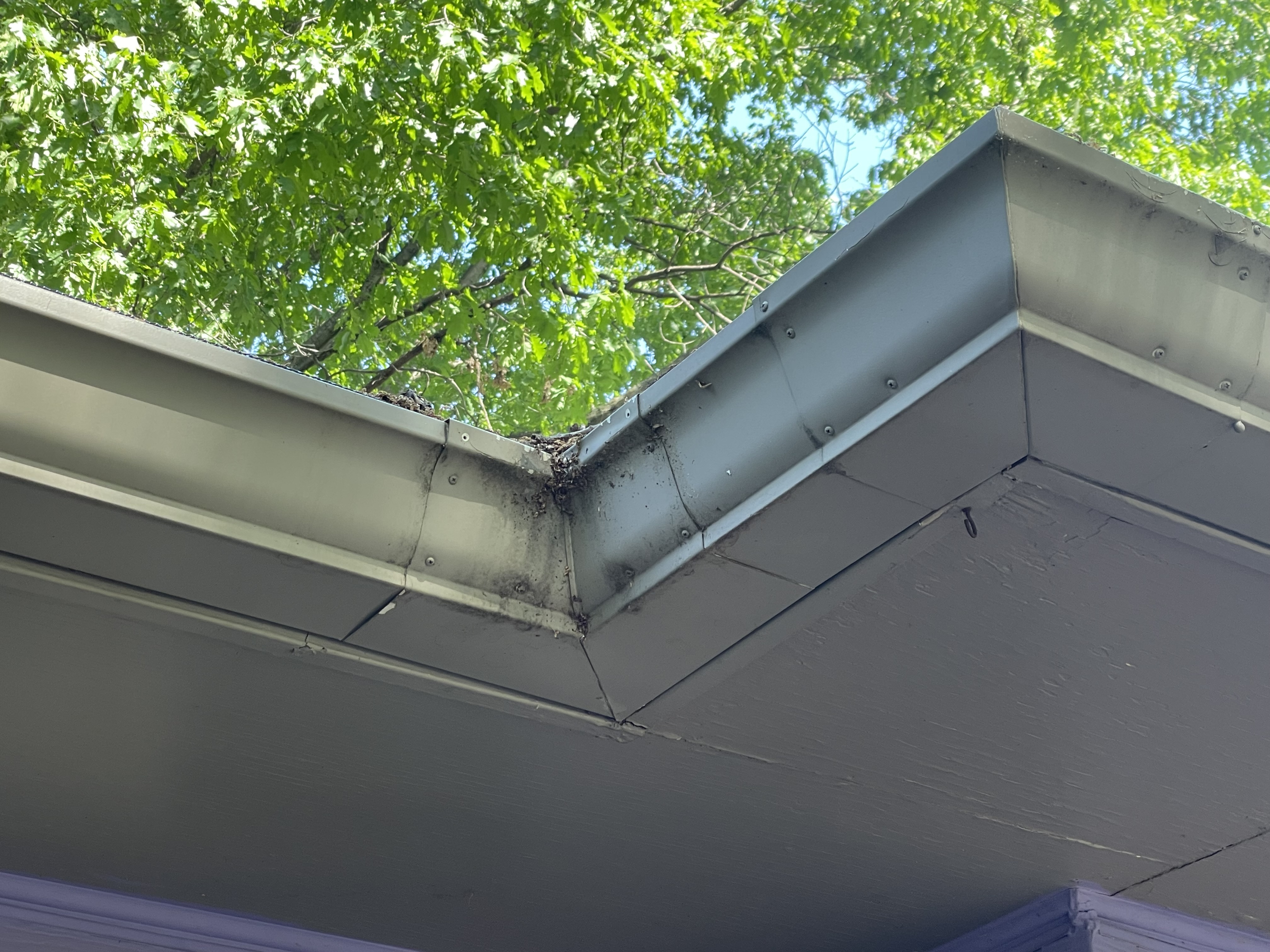 Photo of home gutters in a corner area where there are clear marks of water and dirt running down the sides of the gutters because of a clog on top of the gutter guards above.