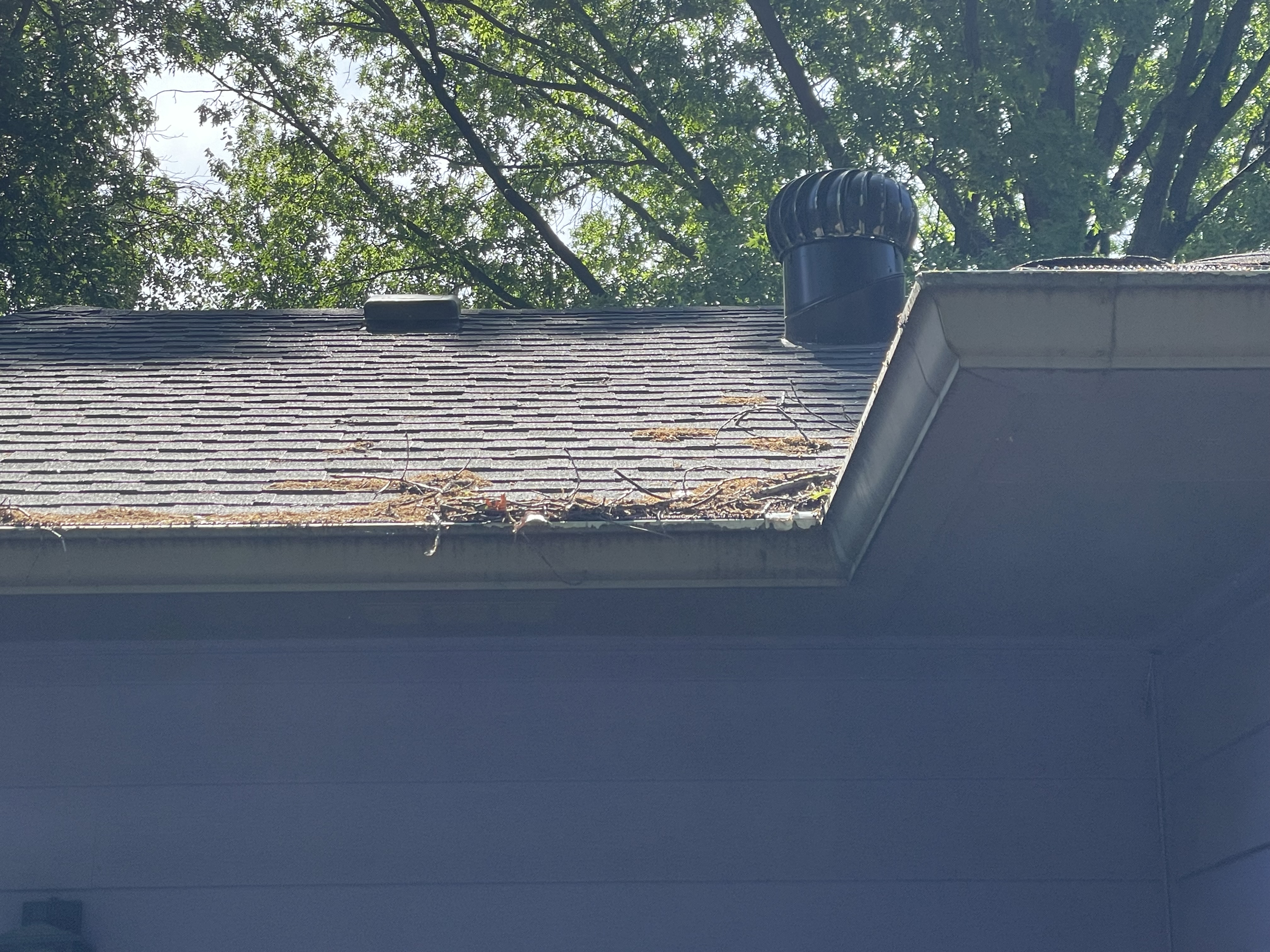 Photo of a roofline where you can clearly see tree debris and sticks sitting on top of gutter guards. There are also water marks showing they've been there for at least one storm most likely.