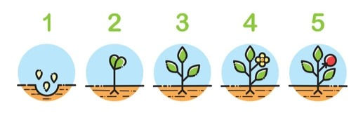 Email marketing vs. lifecycle marketing - what's the difference?