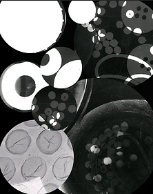 Screenshot 2025-03-13 at 10.54.19.png