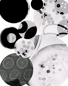Screenshot 2025-03-13 at 11.03.30.png