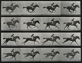 A_galloping_horse_and_rider..jpeg
