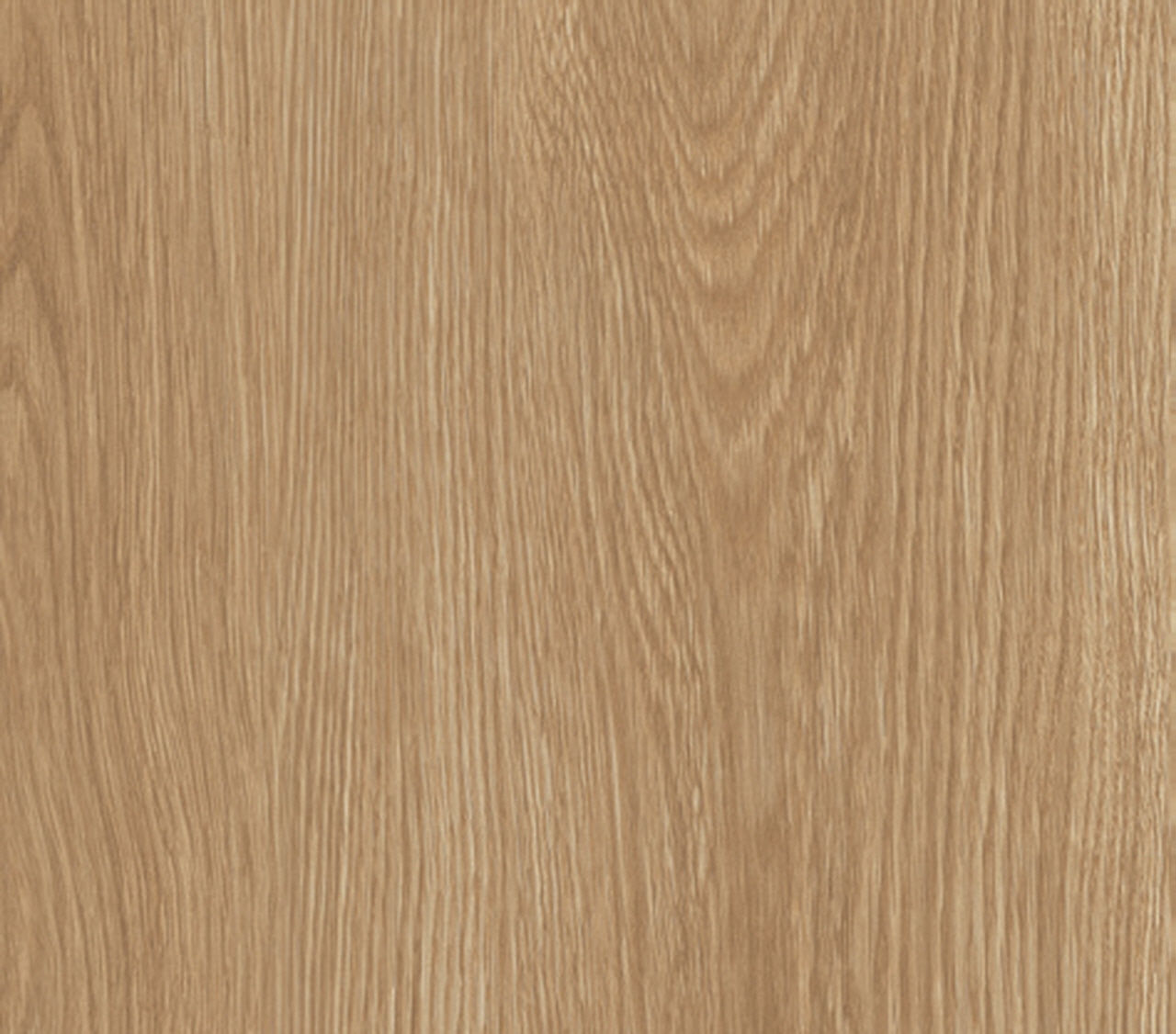 American Oak*
