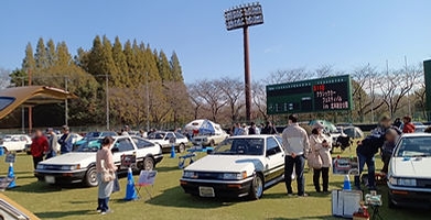 25789d94f7.jpg