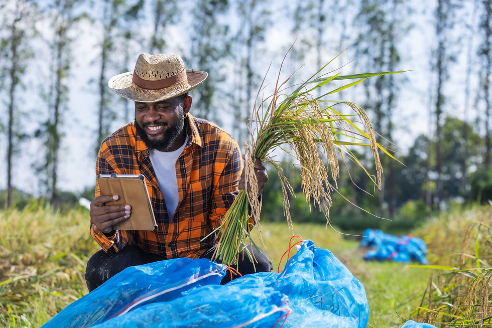 a-farmer-in-a-plaid-shirt-and-straw-hat-kneels-in-2025-02-20-21-21-04-utc.jpg