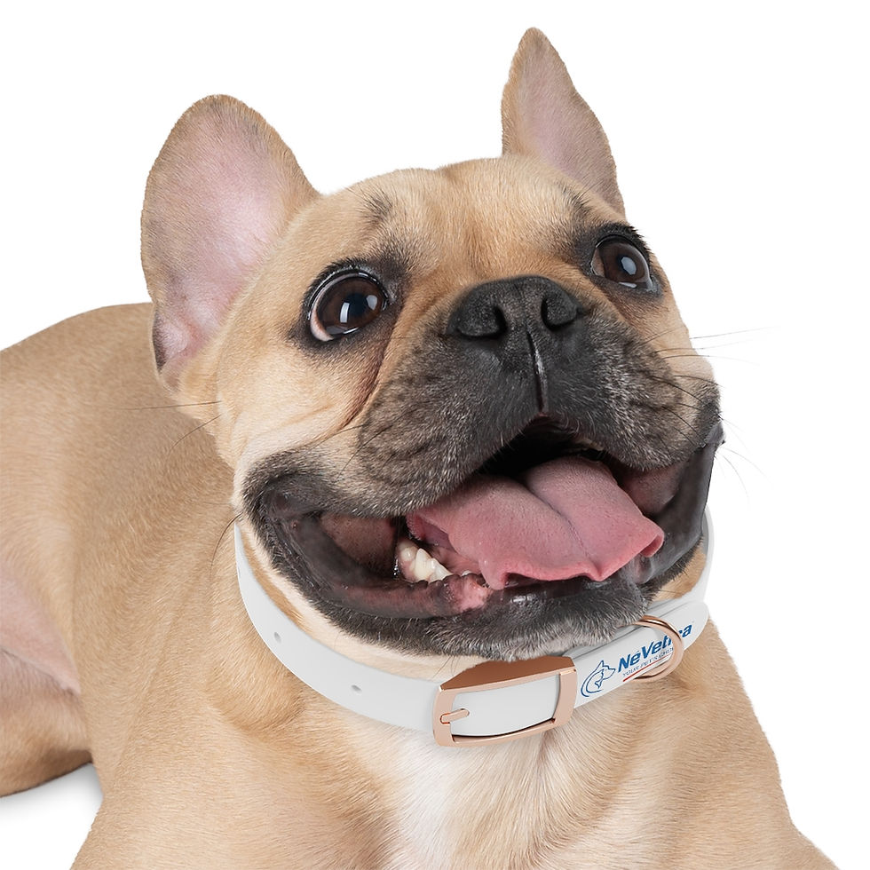 Thumbnail: Dog Collar