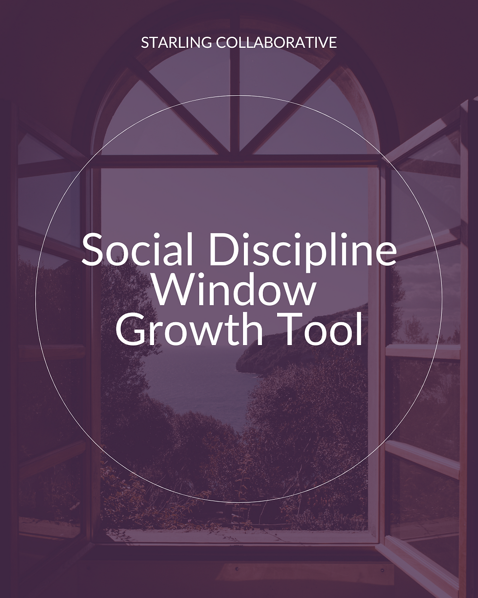 Social Discipline Window Growth Tool