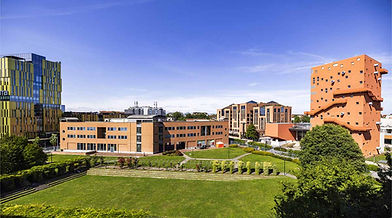 iulm.jpg