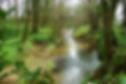 Emral Brook