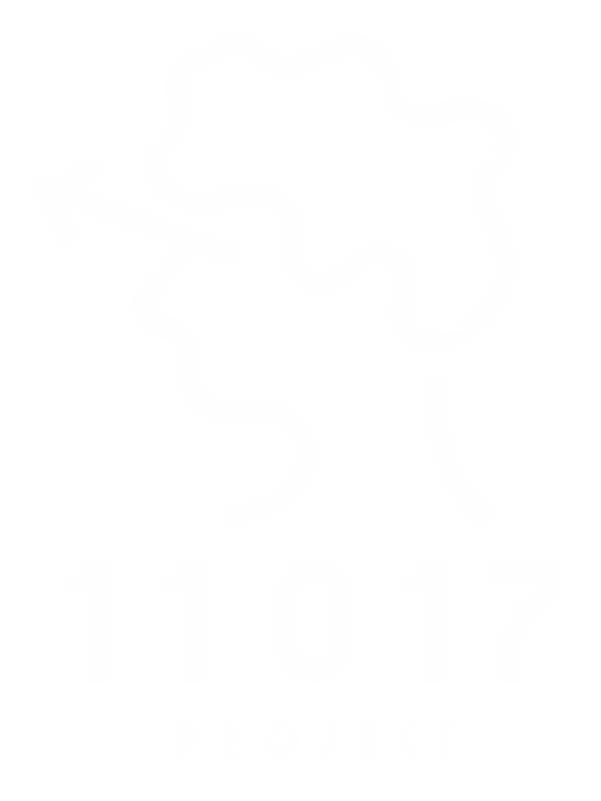 11017プロジェクトの白いロゴ