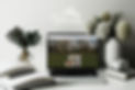 17pounds website