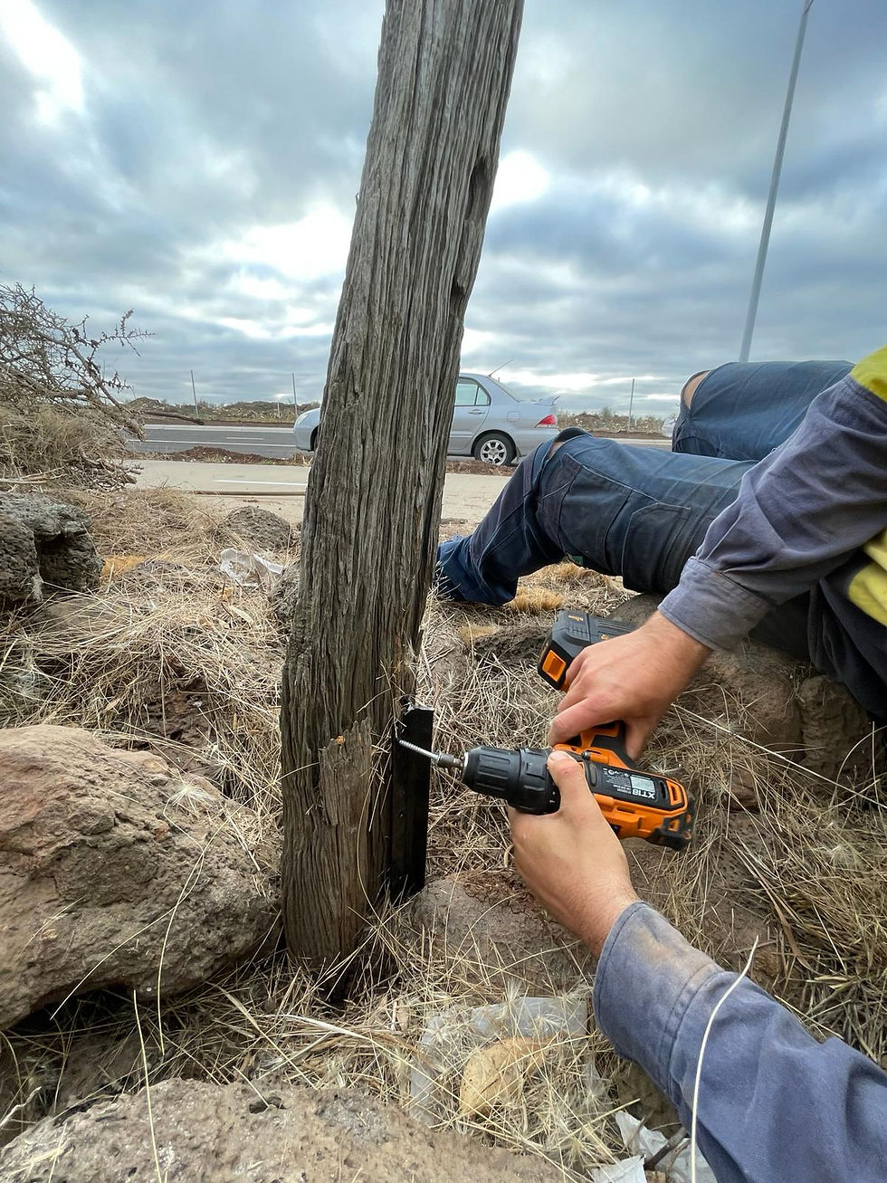 Dry stone post and wire fence