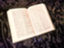 Biblia.jpeg