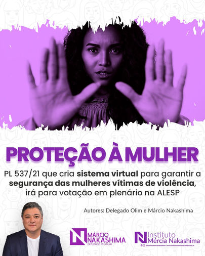 PROTEÇÃO À MULHER