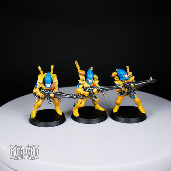 Anthoy's Eldar (8 of 14)