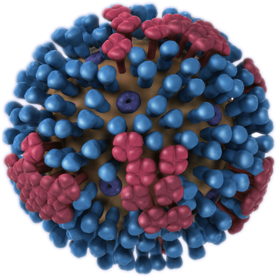 3D_Influenza_transparent_no_key_full_lrg.gif