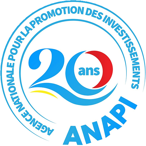 anapi-logo-20ans.gif