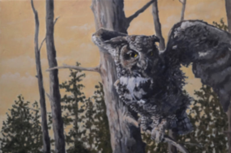 Great Horned Owl Original 18''x 12''