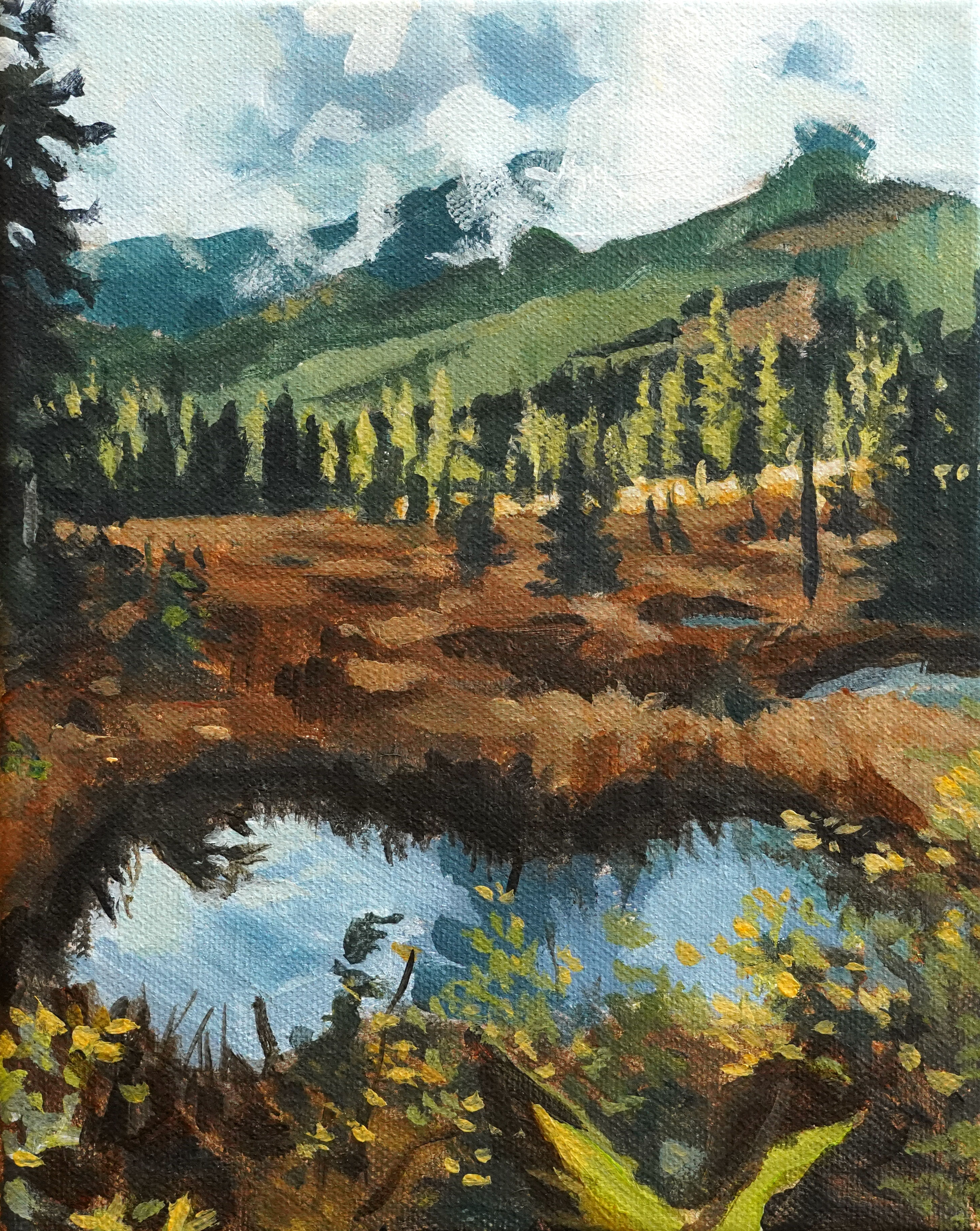 Open Country Original 8" x 10"
