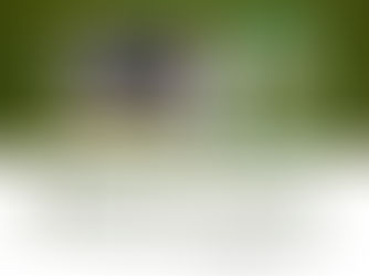 ಆನ್ಮೇರಿ ಶಿಮ್ಮಲಿನ ಬರಹಗಳಲ್ಲಿ ಜಾಗತಿಕ ಪ್ರವಾದೀ ಜನ್ಮದಿನಾಚರಣೆಗಳು