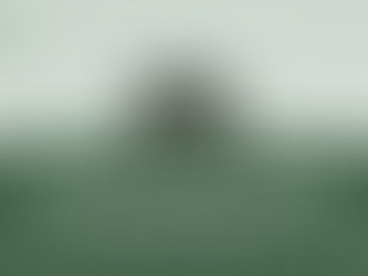 ತಲೆ ಬೇರ್ಪಟ್ಟ ಗಿಳಿಯೂ ಹಾರಿತು!