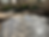Low maintenance backyard