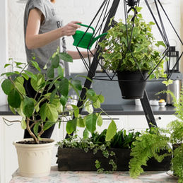 How To Keep Your Plants Hydrated While You’re Away