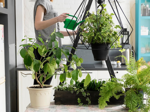 How to Incorporate Gardens in Home Design