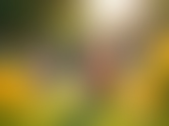 Join Our Community: Fun Nature Classes for Kids