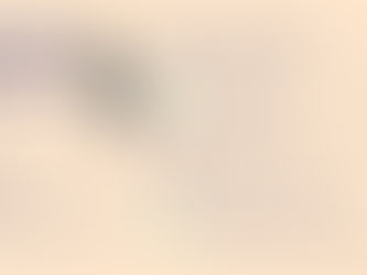 Chlamydia in Racing Pigeons