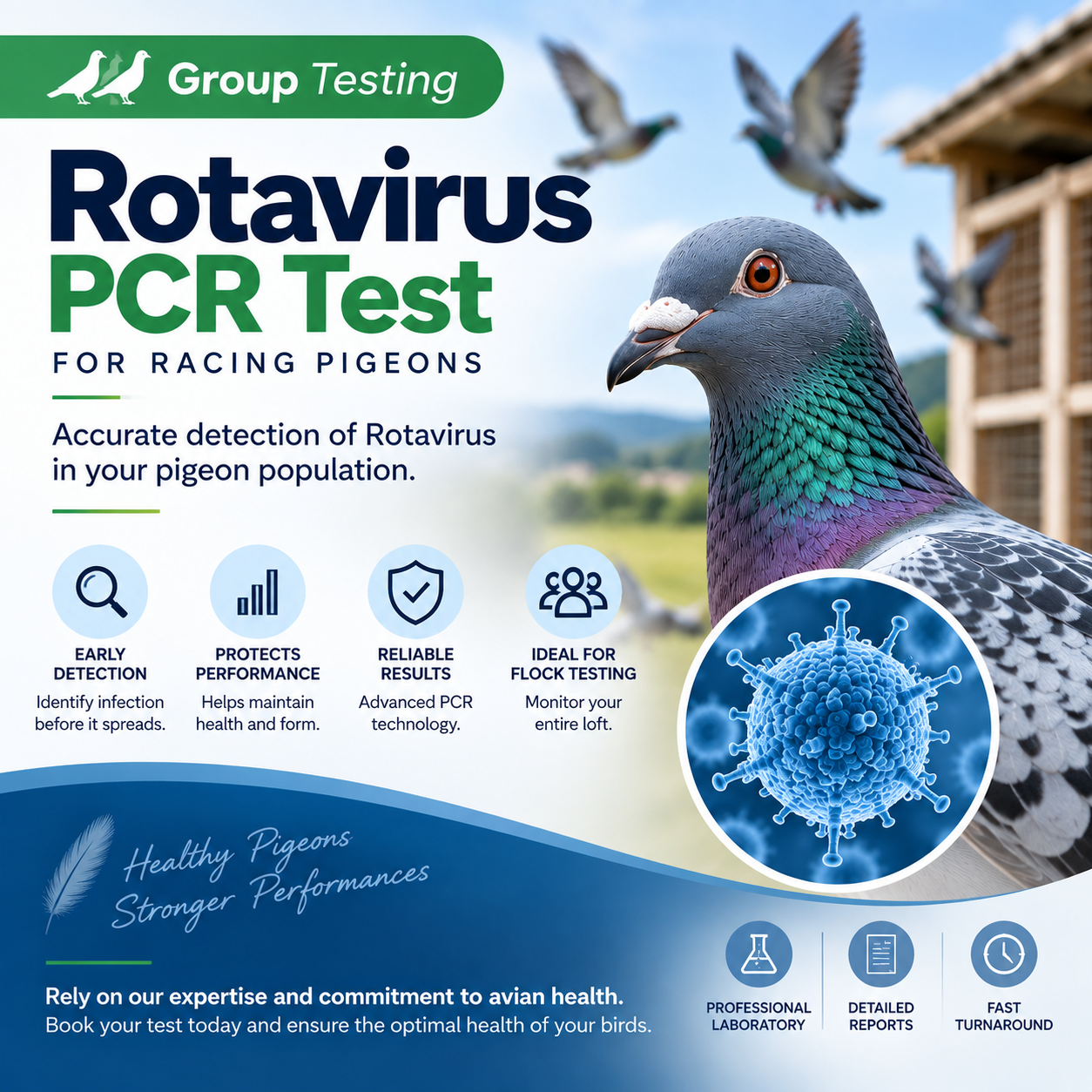 Group Testing (D) Rotavirus PCR