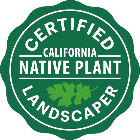 Certified California Native Plant Landscaper for native plant garden design