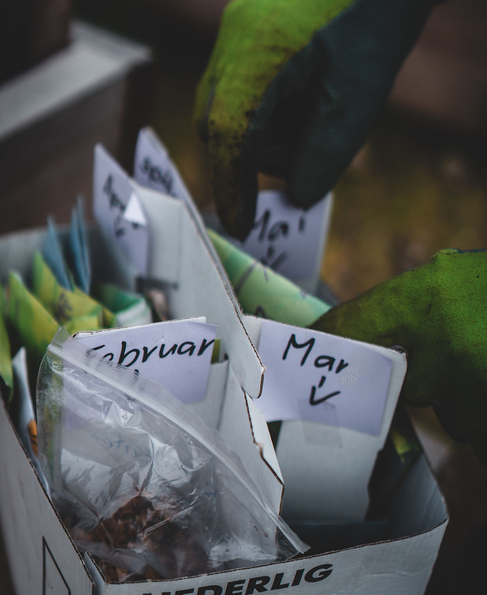 Monthly garden planting labels