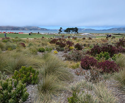 presidio tunnel tops