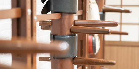 La pratique du Wing-Tsun (Formes, exercices, armes et outils,...)