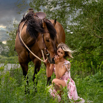 Equestrian photography Kitchener-Waterloo-Cambridge.