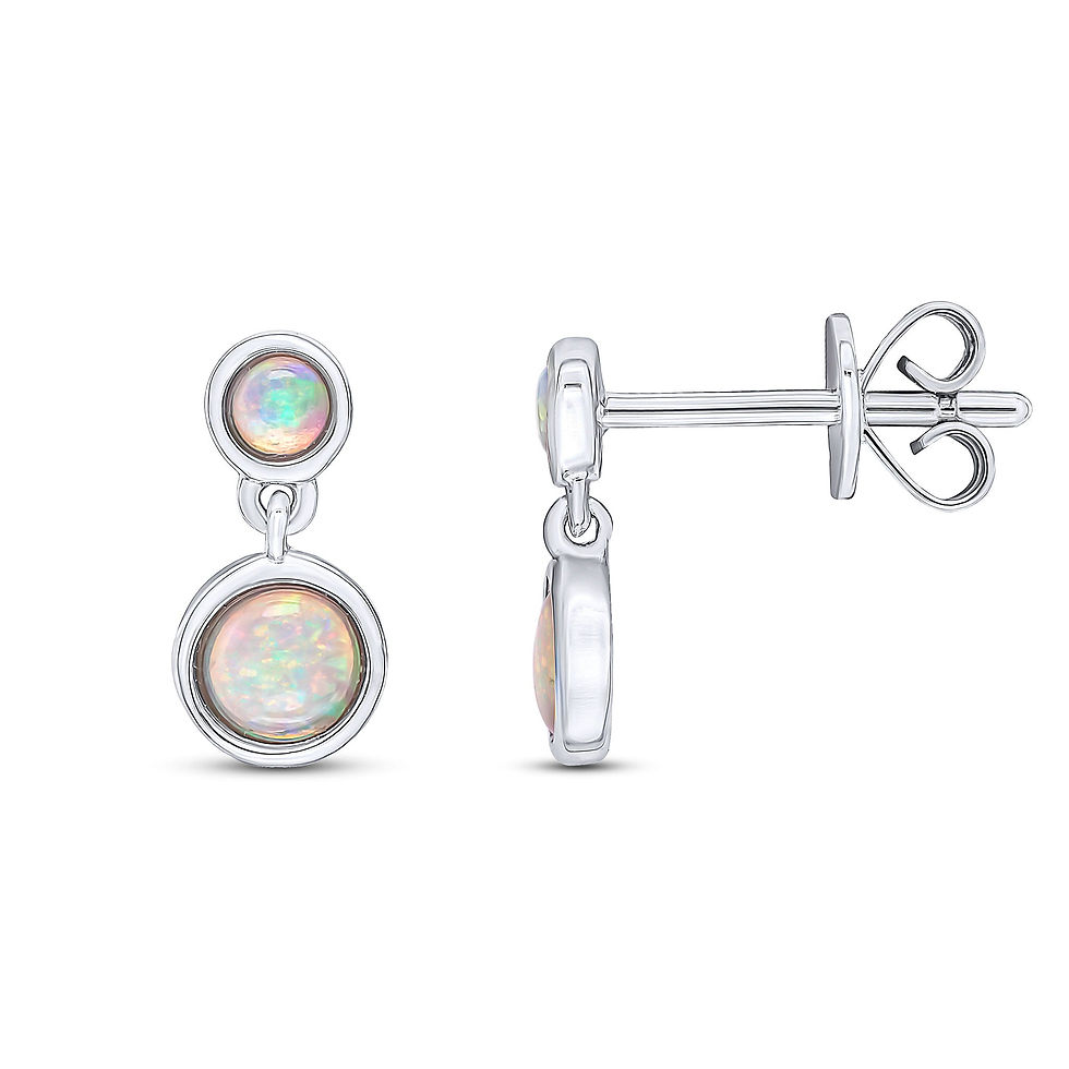 9CT White Gold Round Opal Double Stone Rubover Drop Earrings