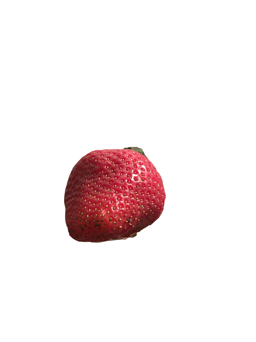 strawberry.gif