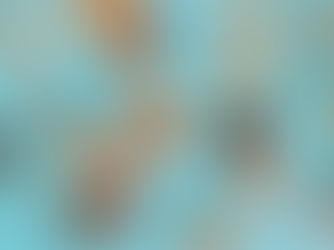 New Generation of Biscuit Production A-Z