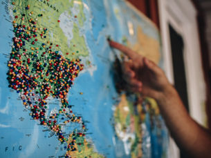 Unveiling Global Trends: Biscuit Consumption and Production Insights