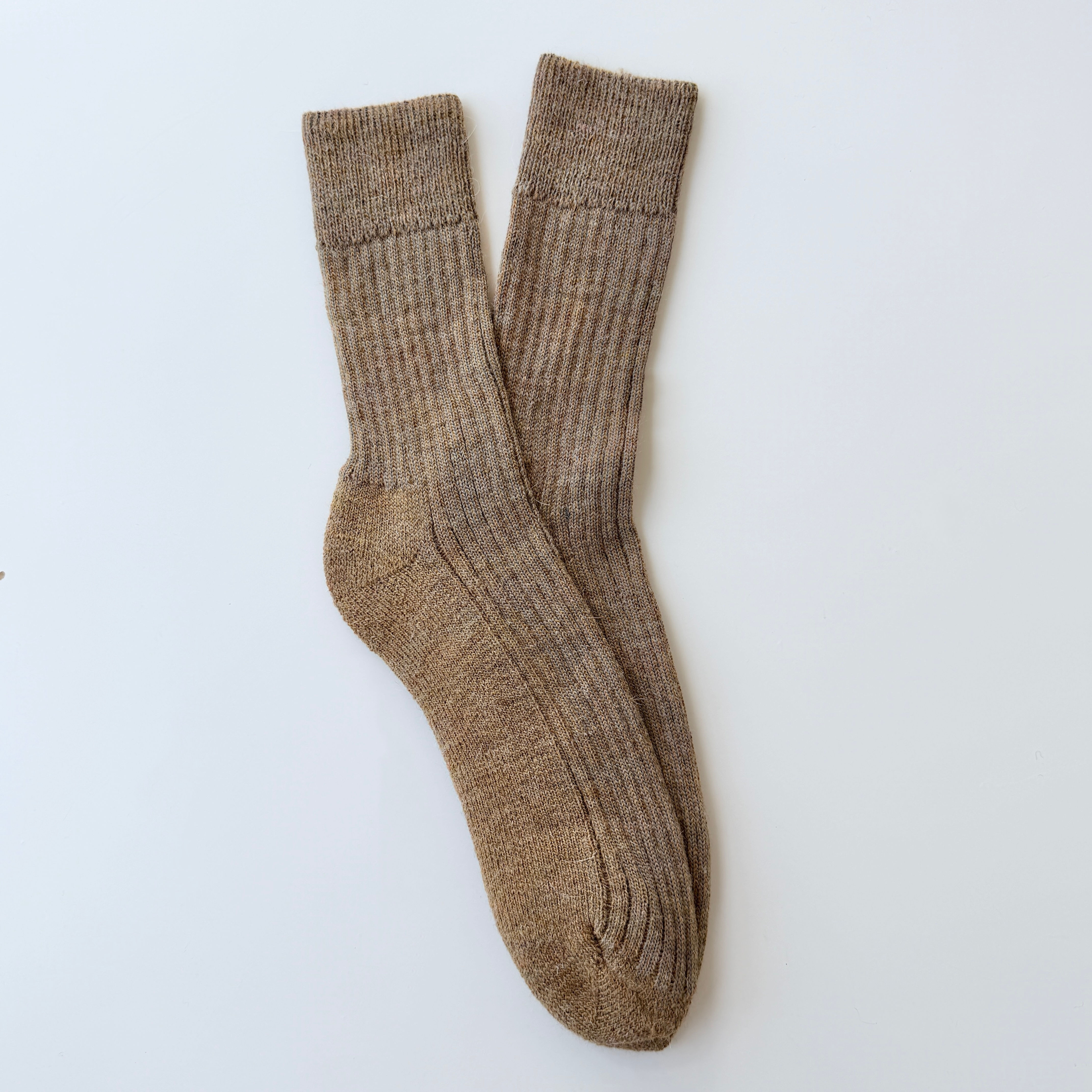 NEW Mustard Rucker Alpaca
