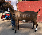 IMG_4188_edited.jpg