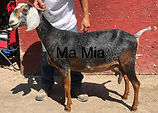 IMG_4138_edited.jpg