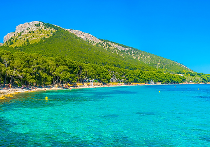 Playa de Formentor Mallorca türkisblauer Naturstrand mit Pinienwald am Cap Formentor