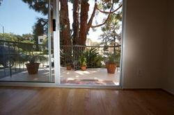 view from living room
