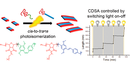 [62]2018_JACS_SSY.gif