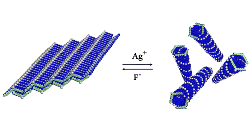 [12] 2013_JACS_SYS.gif